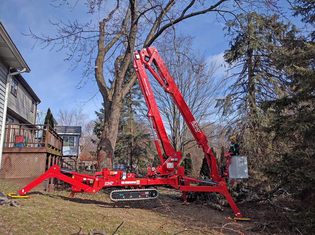 complex tree removal in Oregon
