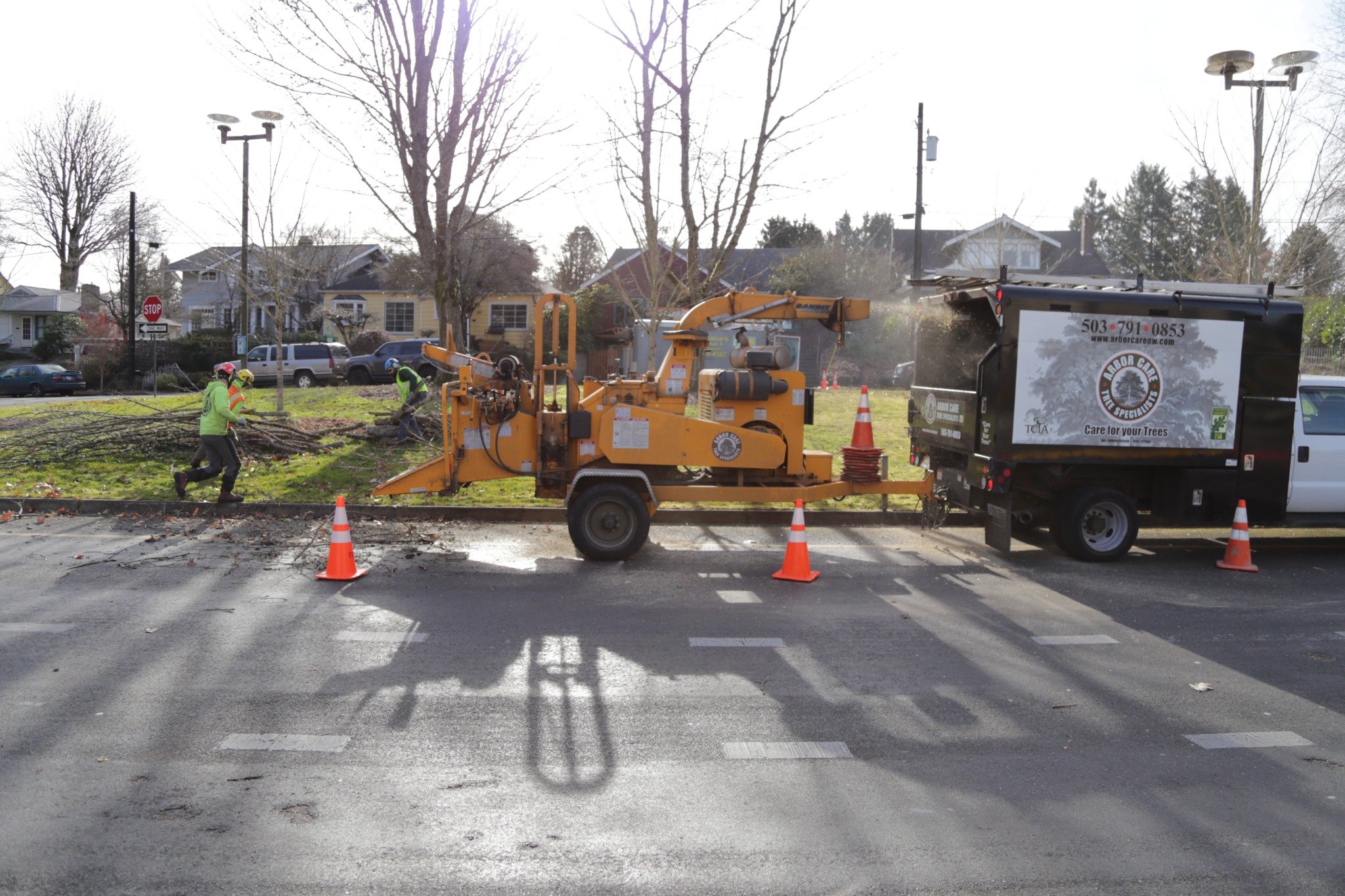 tree removal cleanup with chipper