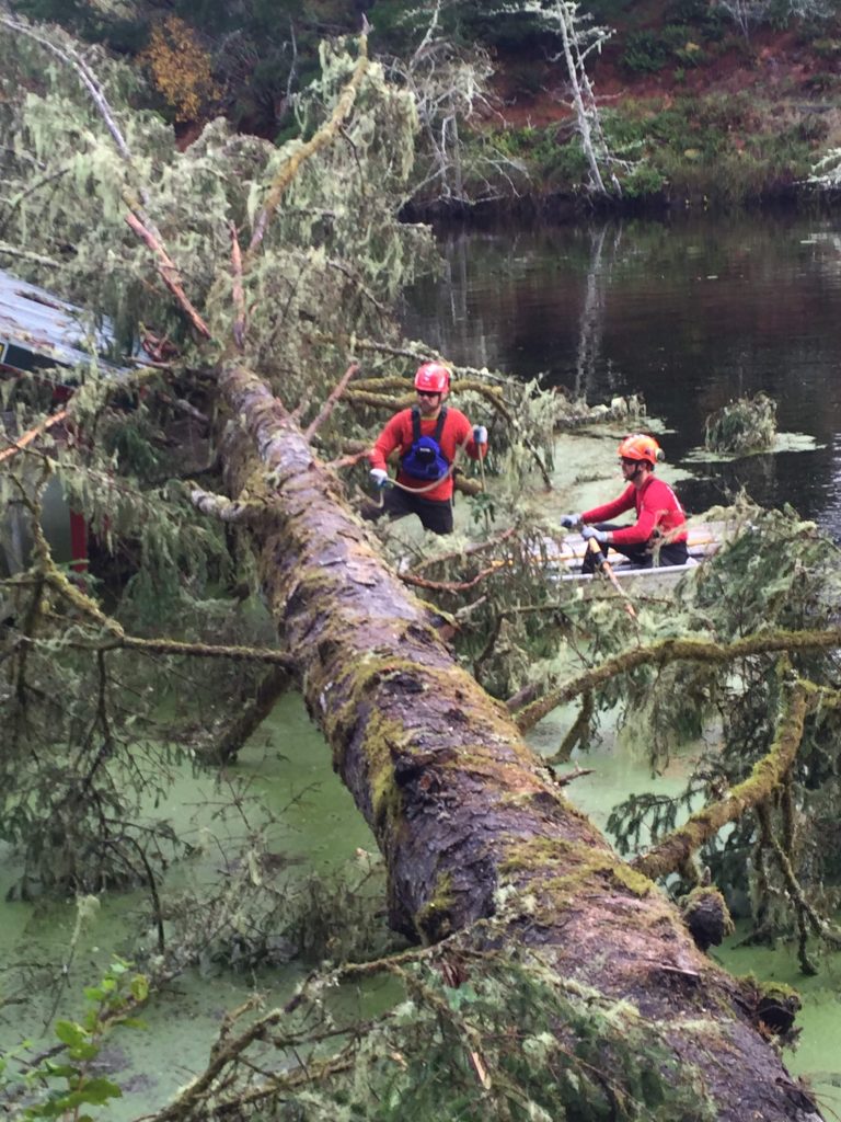 Tree Removal Using Water Emergency Tree Services in Astoria, OR by Arbor Care Tree